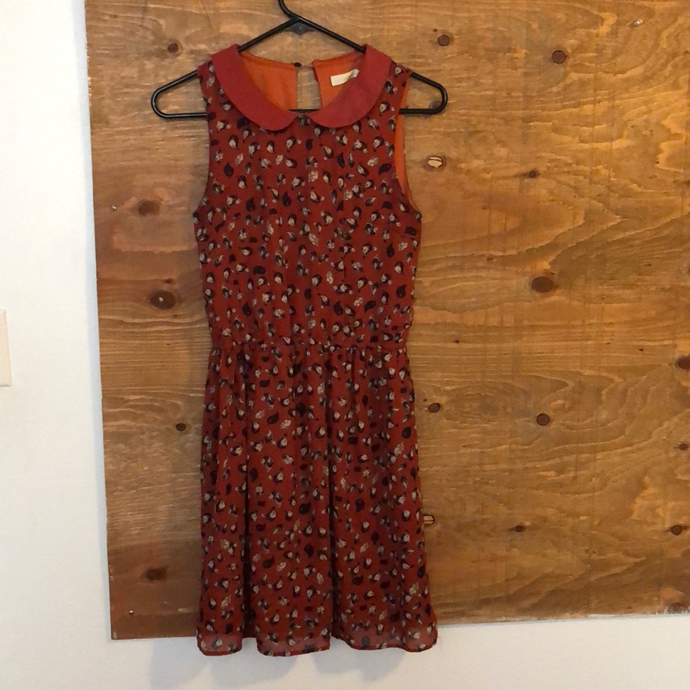 Women’s Dress Birds Peter Pan Collar Cute